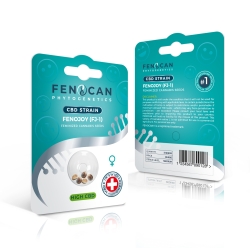 CBD-Samen - Fenojoy