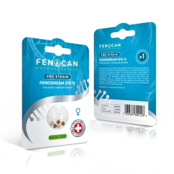 CBD-Samen - Fenodream