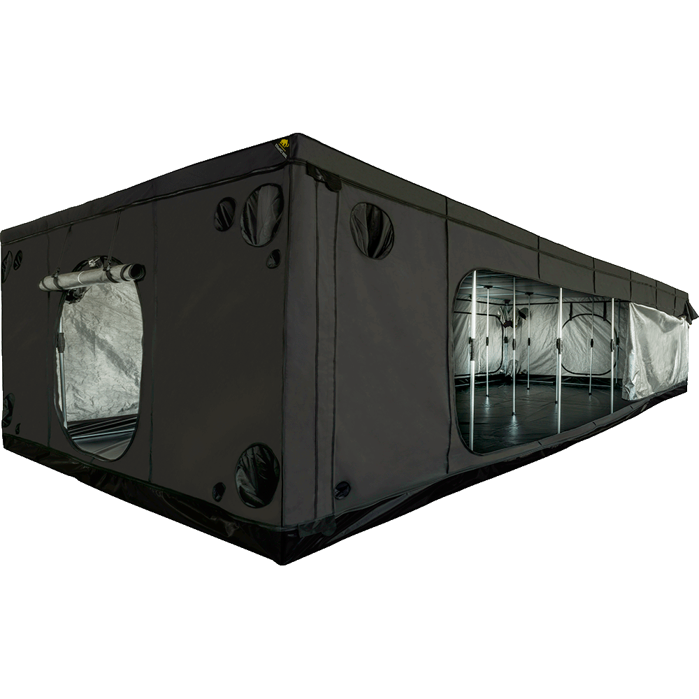 Mammouth Elite HC 900 L