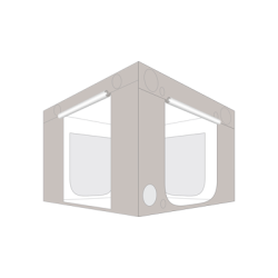 Homebox Ambient Q300+