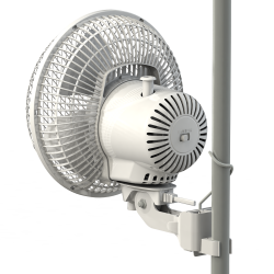 Secret Jardin Monkey Fan 16W