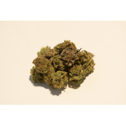 Holy Shit Bud Indoor-Mix - 10 g