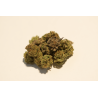 Holy Shit Bud Indoor-Mix - 10 g