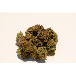 Holy Shit Bud Indoor-Mix - 10 g