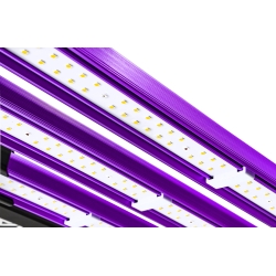 Lumatek Attis 300 Watt Pro