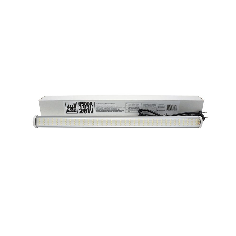 P-Led 26 Watt 6500 K (Wachstum)