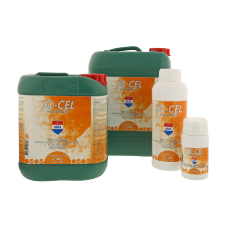 F-Max - XL-Cel