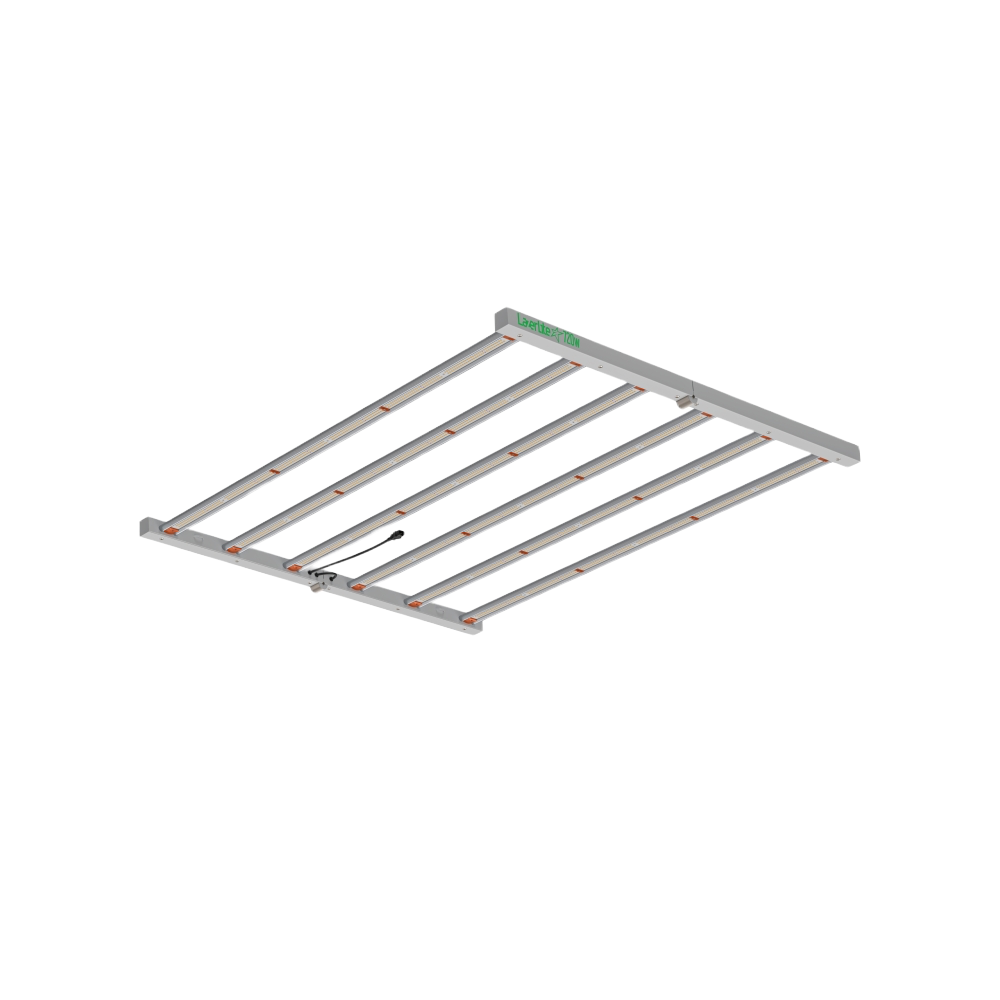 Lazerlite LED 720 Watt Leuchte (Vorschaltgerät nicht enthalten)
