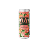 Bio Soda orange sanguine et gingembre