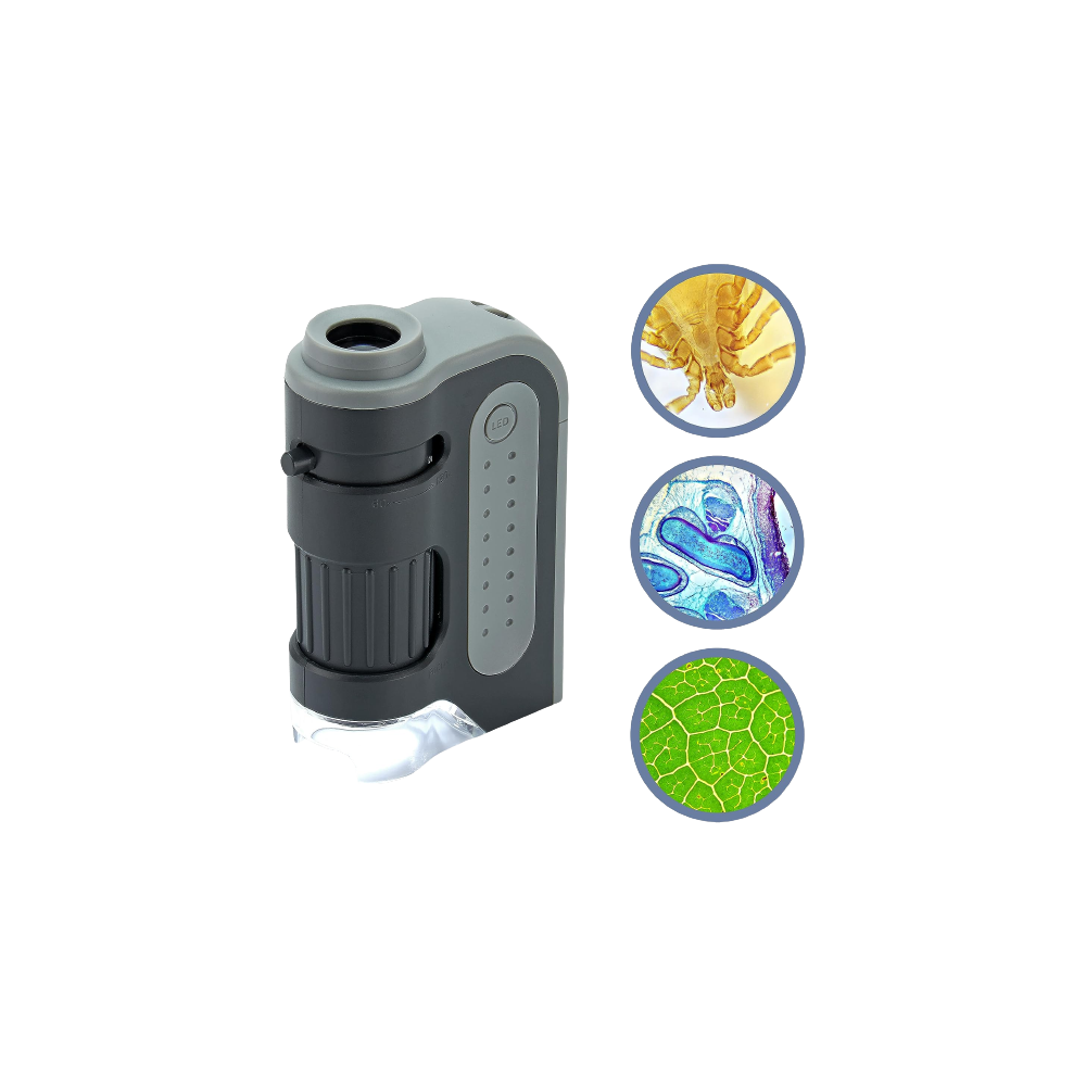 Micro Brite Plus