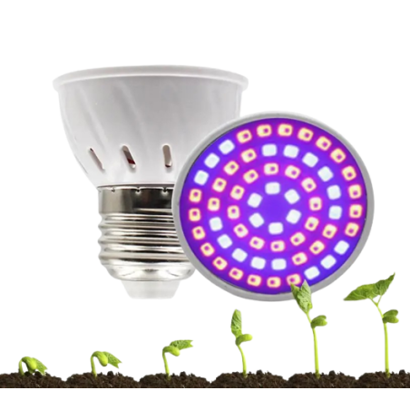 Ampoule LED 80 Leds, douille E27