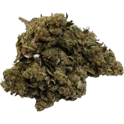 Holy Shit HeyC Flower