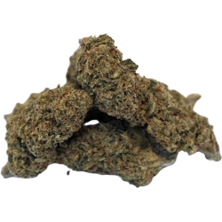 Holy Shit Rasta Mango Flowers
