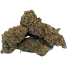 Holy Shit Rasta Mango Flowers