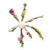 Smudge Sticks aus Basel