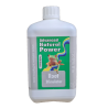 Advanced Hydroponics Root Stimulator 1 L