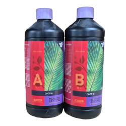 Atami Bcuzz Coco A+B 2 x 1 L