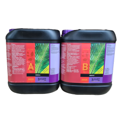 Atami Bcuzz Coco A+B 2 x 5 L