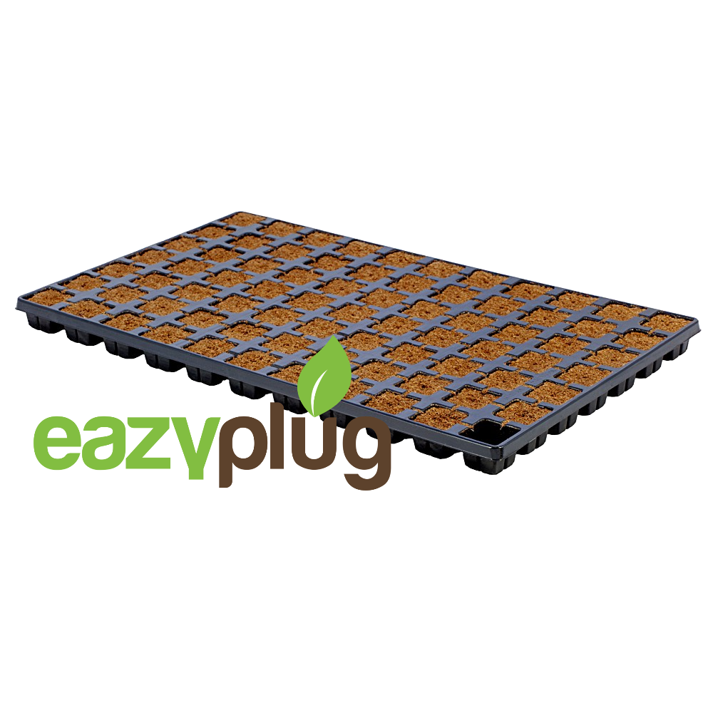 Eazy Plug Anzuchtwürfel CT77, 77Stk