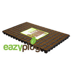 Eazy Plug Anzuchtwürfel CT150, 150Stk