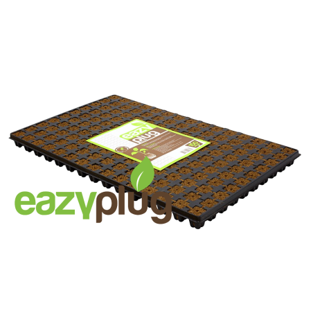 Eazy Plug Anzuchtwürfel CT150, 150Stk