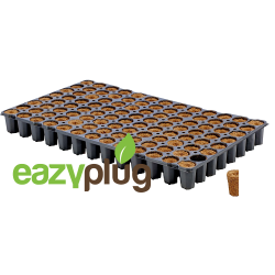 Eazy Plug Anzuchtwürfel CT104C, 104Stk