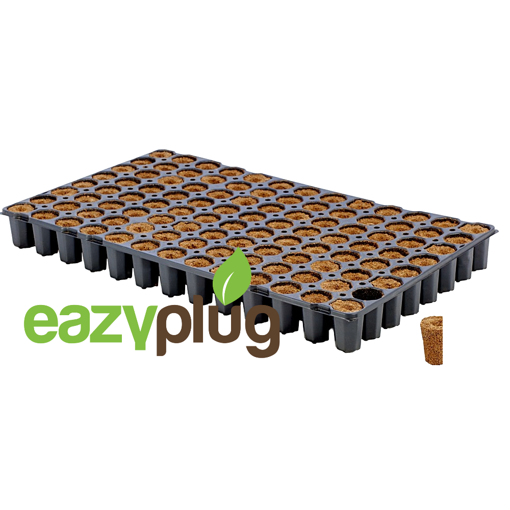 Eazy Plug Anzuchtwürfel CT104C, 104Stk