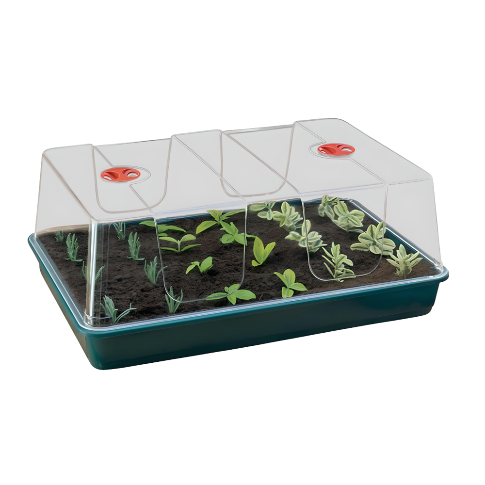 Garland XL High Dome Propagator Serre d'intérieur, 58x40x22.5cm