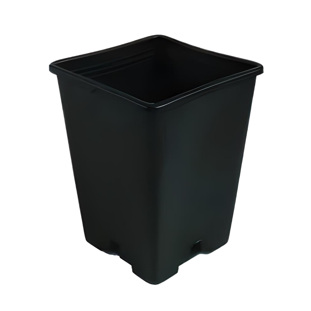 Square Pot 2.4L 13x13x18cm