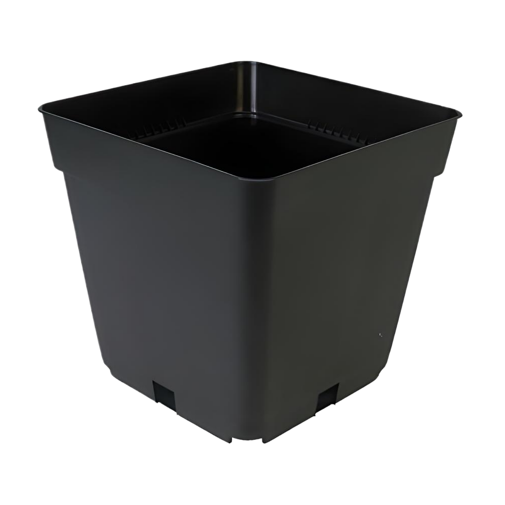 Pot Carré 1.55L 13x13x13cm