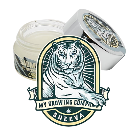 My Growing Company - Sheeva Balsam kalt