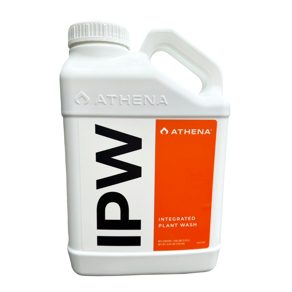 Athena IPW, 3.8L