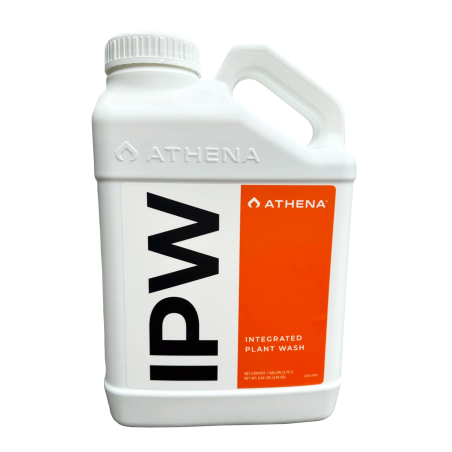 Athena IPW, 3.8L