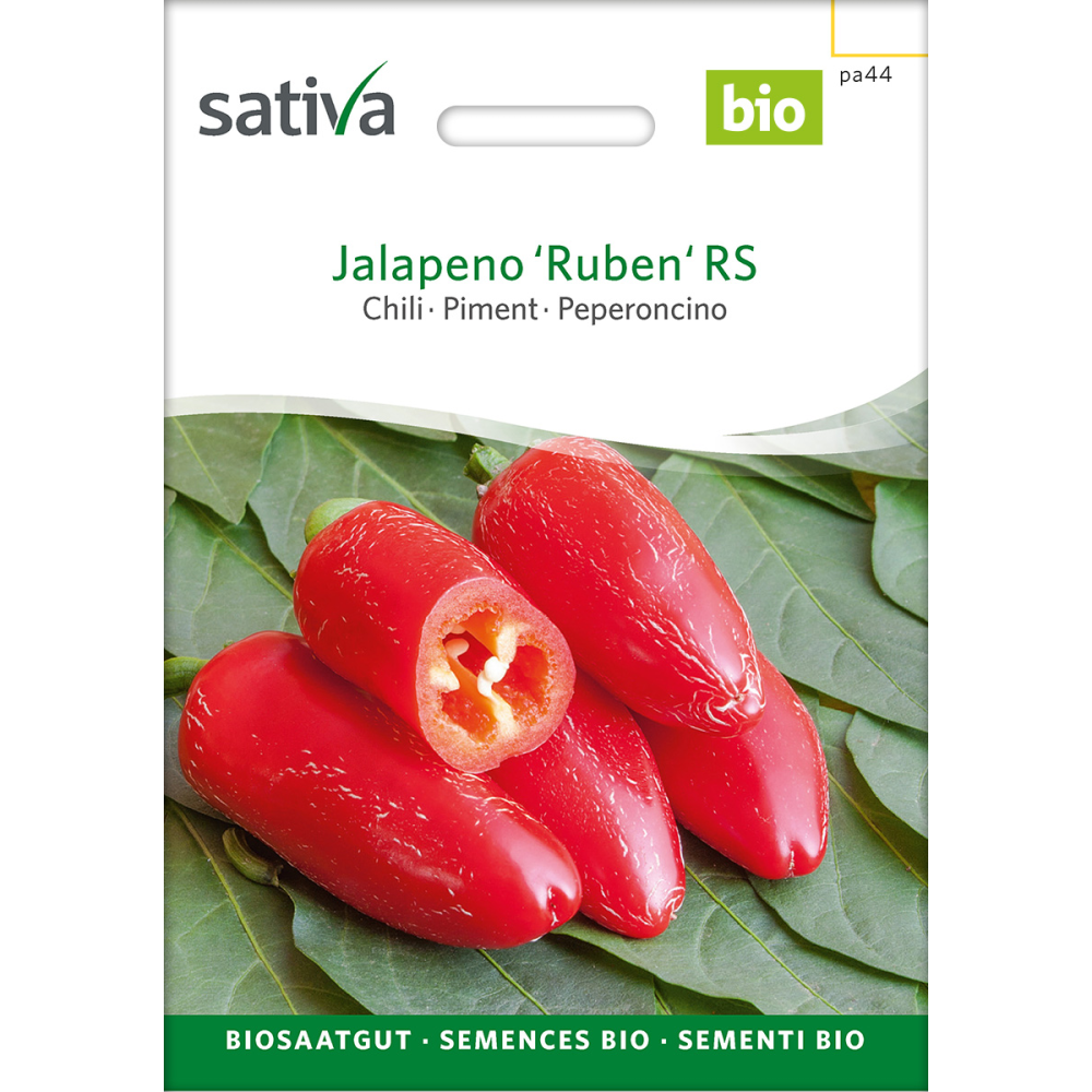 Sativa Jalapeño 'Ruben' RS  –  Chilli Bio