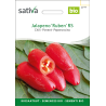 Sativa Jalapeño 'Ruben' RS – organic chilli