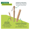 Greenline Anzuchtwerkzeug-Set aus FSC-Holz