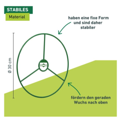 Windhager Plant ring 30 cm – set of 3 for stabilisation and growth guidance