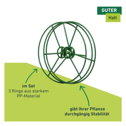 Windhager Anneau pour plantes 30 cm - Lot de 3 pour stabiliser et guider la croissance