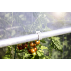 Windhager Tomatengewächshaus AluStar – Robustes Gewächshaus für gesunde Tomaten, Chilis & mehr
