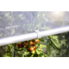 Windhager Tomatengewächshaus AluStar – Robustes Gewächshaus für gesunde Tomaten, Chilis & mehr