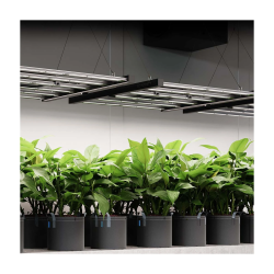 AC Infinity IONFRAME EVO3 – Samsung LM301H EVO LED Grow Light (280 W)