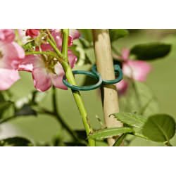 Windhager Ring binder – 25-piece set for flexible plant fixation