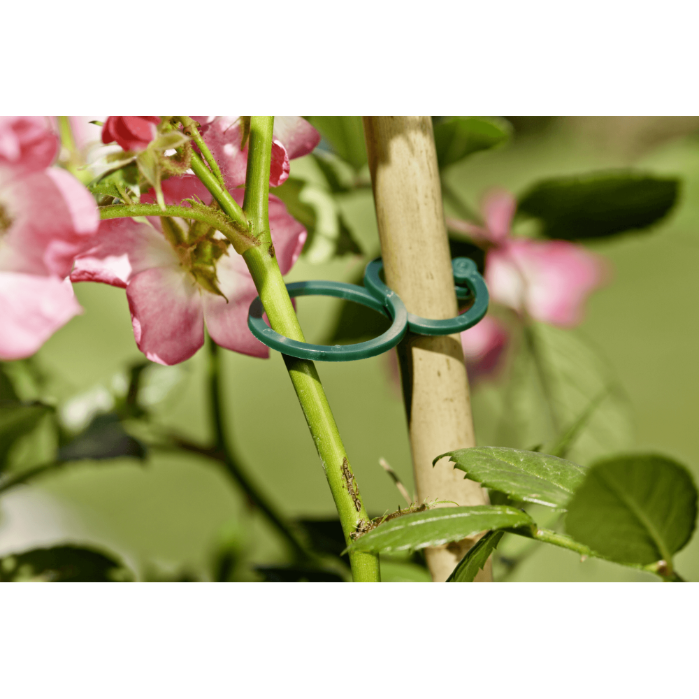 Windhager Ring binder – 25-piece set for flexible plant fixation