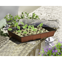 Windhager Maxi window sill greenhouse – the propagator for strong young plants