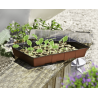 Windhager Maxi window sill greenhouse – the propagator for strong young plants