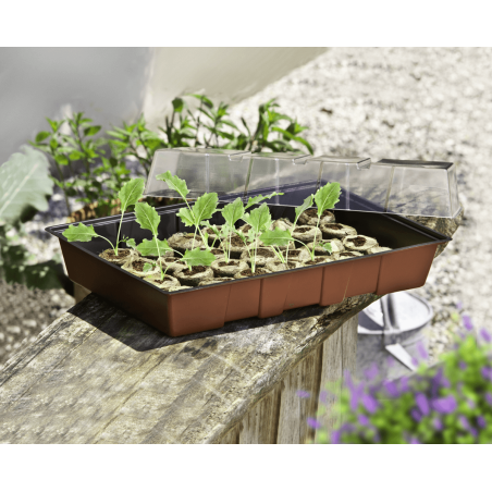 Windhager Window sill greenhouse Maxi with 24 tabs – the perfect starter set for growing