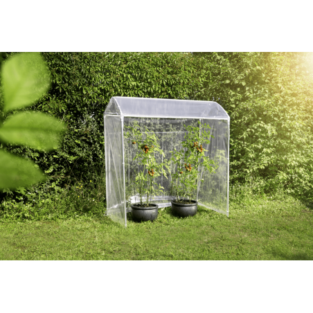 Windhager Tomatengewächshaus AluStar – Robustes Gewächshaus für gesunde Tomaten, Chilis & mehr