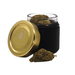 GANJAR XS – Le mini-récipient exclusif