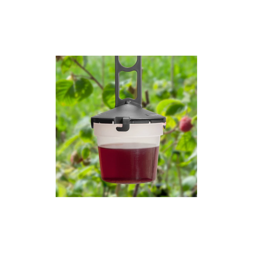 Andermatt Biogarten Piège à mouches du vinaigre Drosal Pro - Lot de 5 pièges et 1 l d'appât