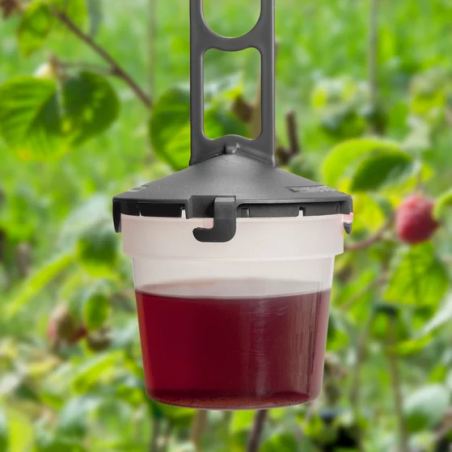 Andermatt Biogarten Drosal Pro Cherry Fruit Fly Trap - Set with 5 traps & 1L attractant